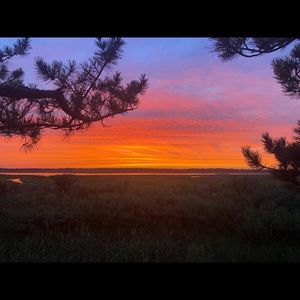 Meet your Posher, Ellie